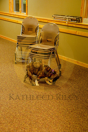 2020-Kathleen-Riley-Photography-6160