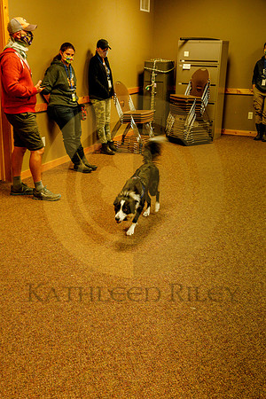 2020-Kathleen-Riley-Photography-6183