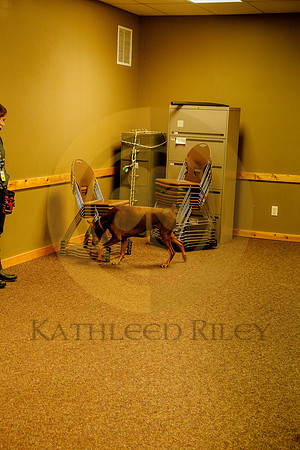 2020-Kathleen-Riley-Photography-6194