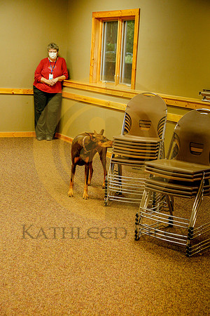 2020-Kathleen-Riley-Photography-6199