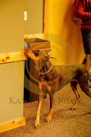 2020-Kathleen-Riley-Photography-6209