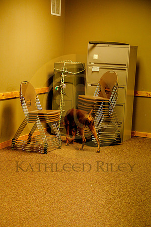 2020-Kathleen-Riley-Photography-6203