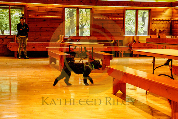 2020-Kathleen-Riley-Photography-6235
