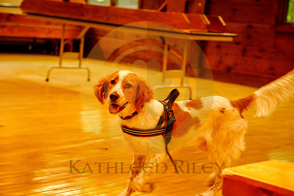 2020-Kathleen-Riley-Photography-6277