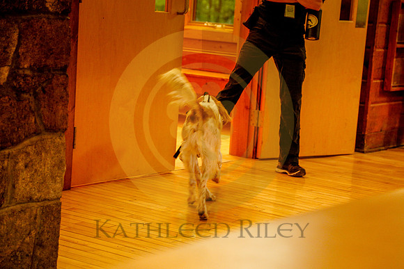 2020-Kathleen-Riley-Photography-6279