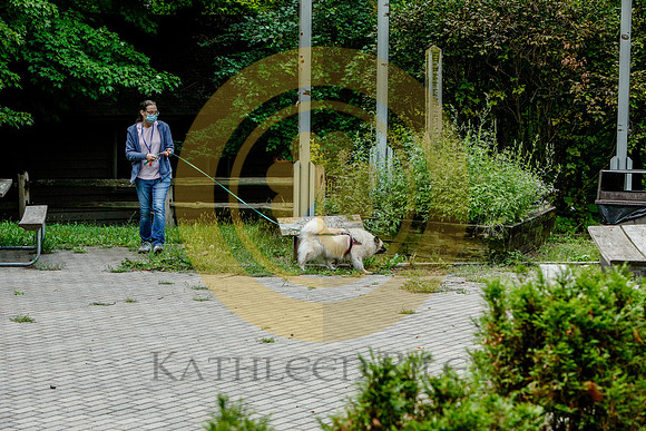 2020-Kathleen-Riley-Photography-6351
