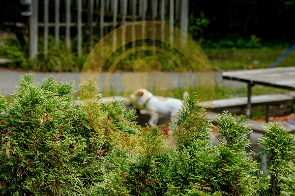 2020-Kathleen-Riley-Photography-6366