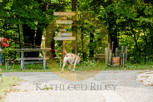 2020-Kathleen-Riley-Photography-6413
