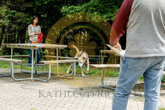 2020-Kathleen-Riley-Photography-6423