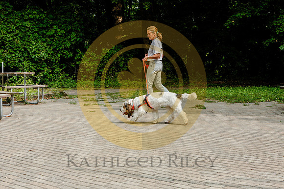 2020-Kathleen-Riley-Photography-6450