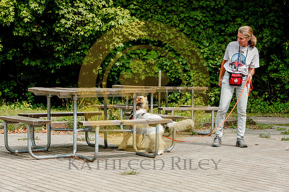 2020-Kathleen-Riley-Photography-6454