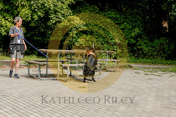 2020-Kathleen-Riley-Photography-6514