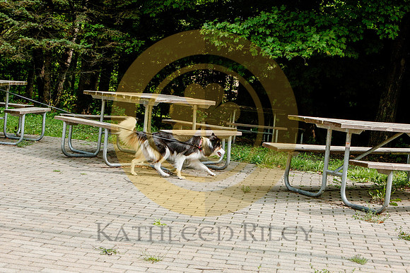 2020-Kathleen-Riley-Photography-6535