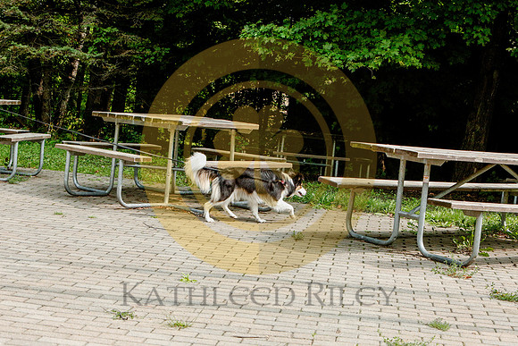 2020-Kathleen-Riley-Photography-6536