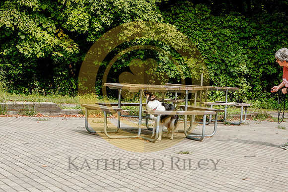 2020-Kathleen-Riley-Photography-6548