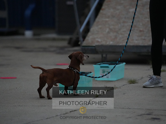 2022-KathleenRileyPhotography126