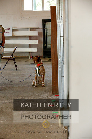 2022-KathleenRileyPhotography-9382