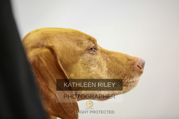 2022-KathleenRileyPhotography-8166