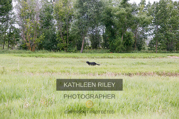 2022-KathleenRileyPhotography-3241