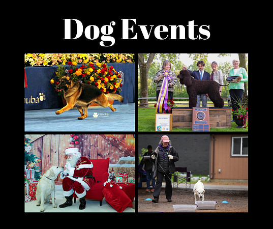 Dog Events (1)