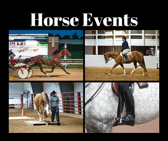 Horse-Shows-Events (3)