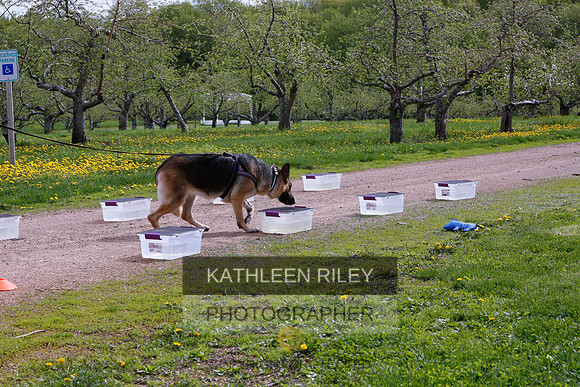 2022-KathleenRileyPhotography-8587