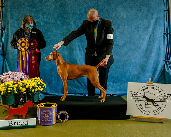 2020-Kathleen-Riley-Photography-7602