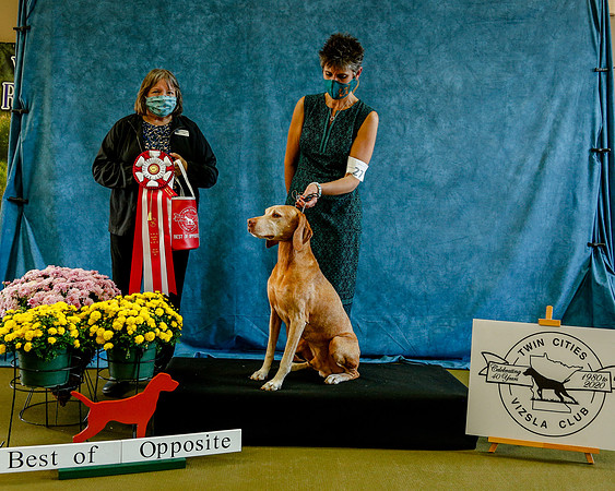2020-Kathleen-Riley-Photography-7664