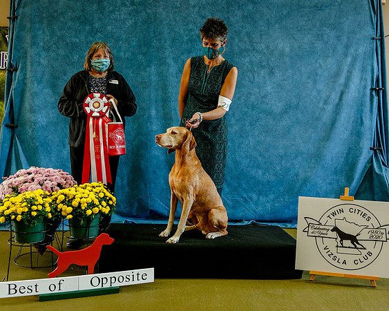 2020-Kathleen-Riley-Photography-7665