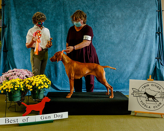 2020-Kathleen-Riley-Photography-7752