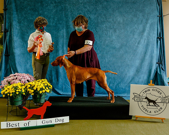 2020-Kathleen-Riley-Photography-7753