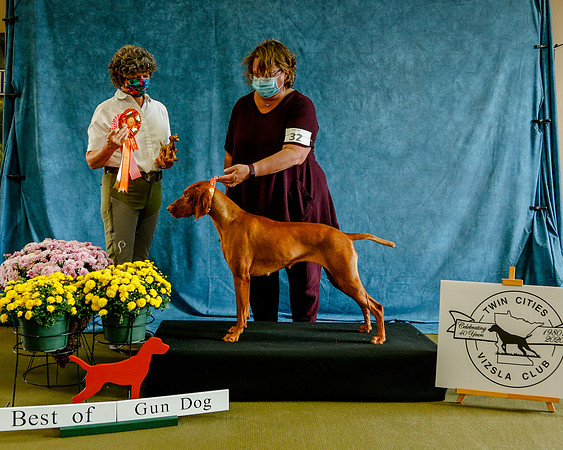 2020-Kathleen-Riley-Photography-7756