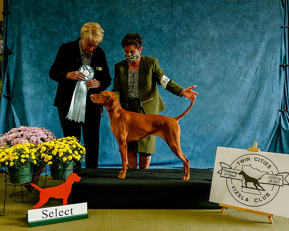 2020-Kathleen-Riley-Photography-8004