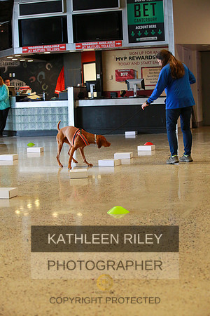 2022-KathleenRileyPhotography-7652