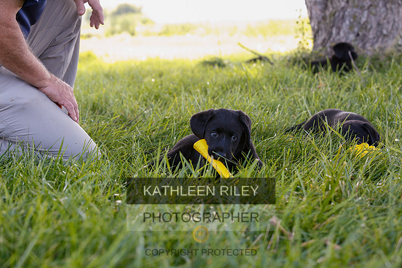 2022-KathleenRileyPhotography-7887