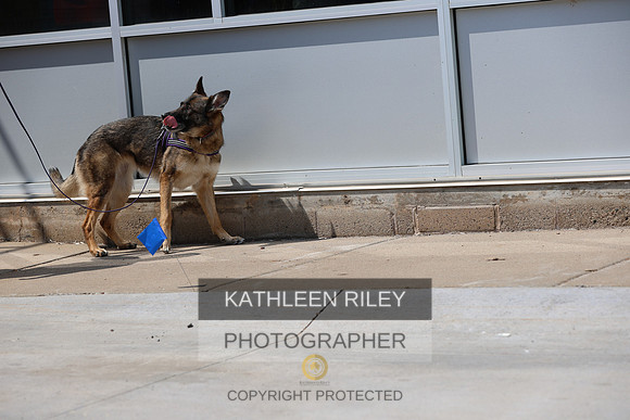 SJLT8109