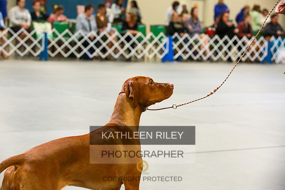2022-KathleenRileyPhotography-8904
