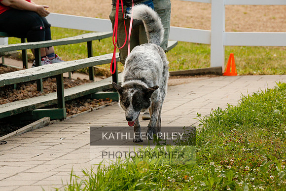 2022-KathleenRileyPhotography-0061