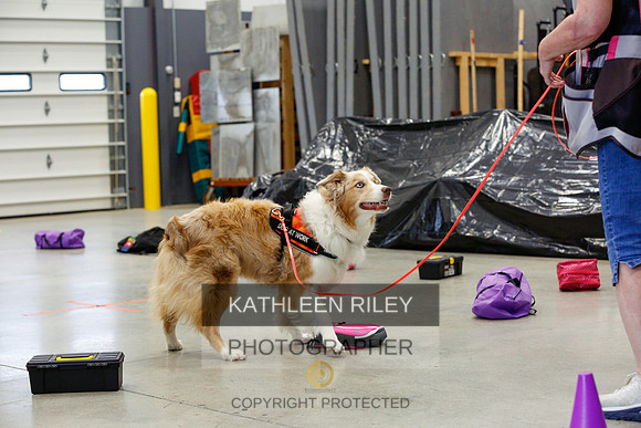 2022-KathleenRileyPhotography-7125