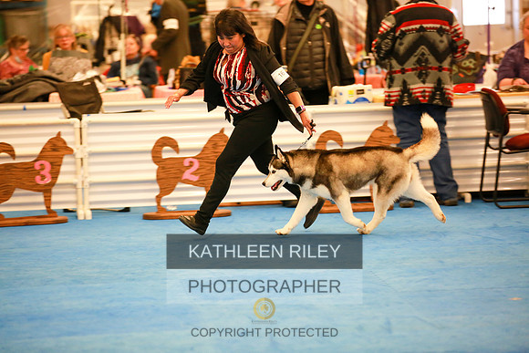 2022-KathleenRileyPhotography-5016