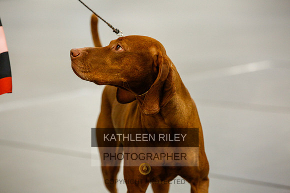 2022-KathleenRileyPhotography-0817