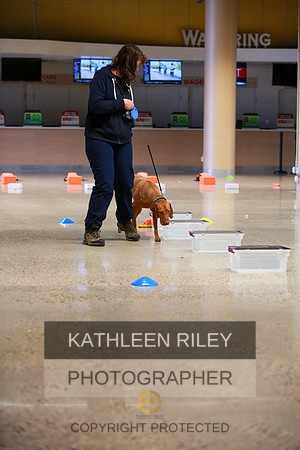 2022-KathleenRileyPhotography-7514