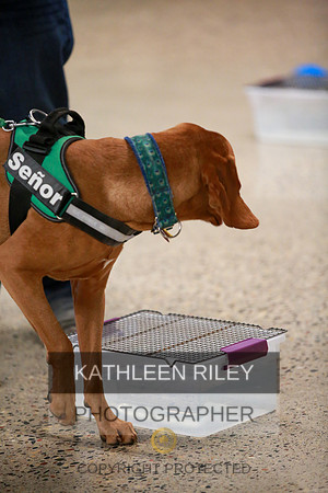 2022-KathleenRileyPhotography-7571