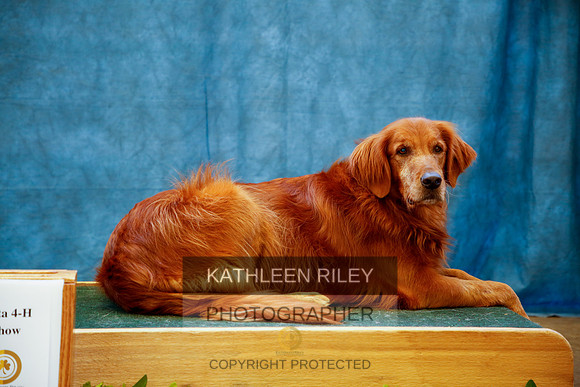 2022-KathleenRileyPhotography-0114