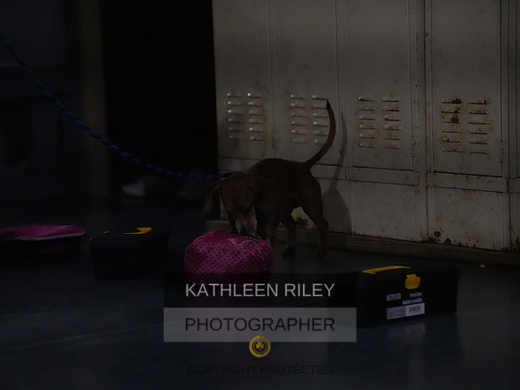 2022-KathleenRileyPhotography184