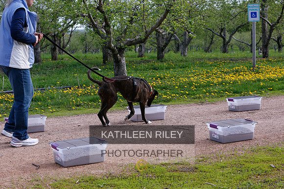 2022-KathleenRileyPhotography-8321