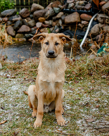2020-Kathleen-Riley-Photography-0055