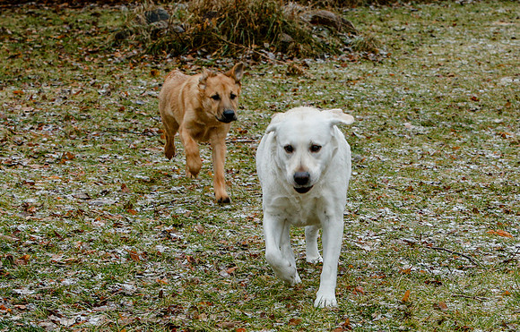 2020-Kathleen-Riley-Photography-0059