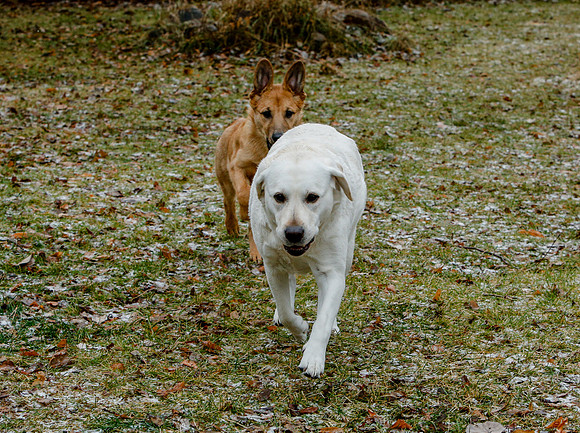 2020-Kathleen-Riley-Photography-0061