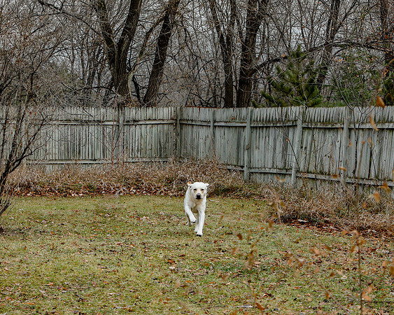 2020-Kathleen-Riley-Photography-0090